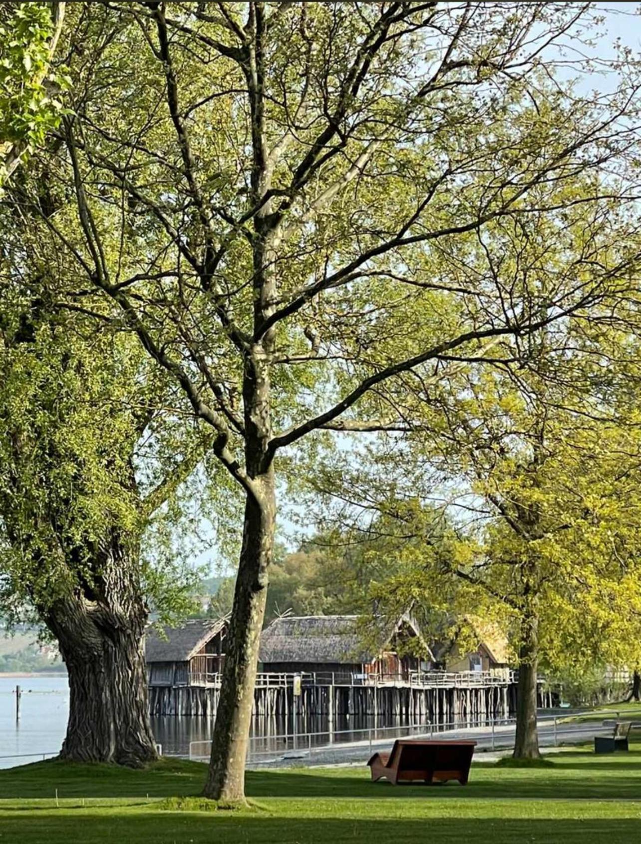 Gaestehaus Maeder Am Hafen Uhldingen-Mühlhofen Kültér fotó