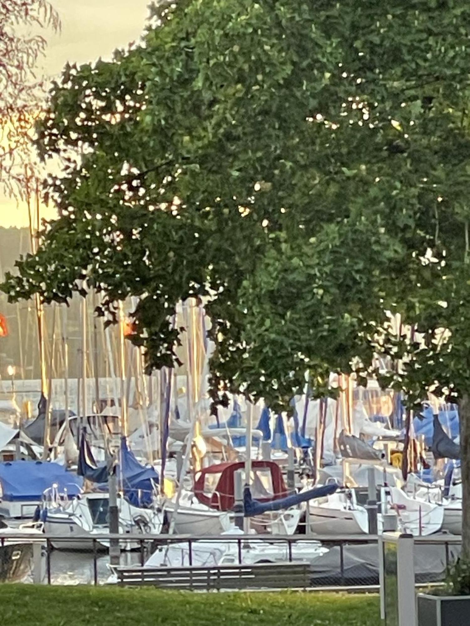 Gaestehaus Maeder Am Hafen Uhldingen-Mühlhofen Kültér fotó